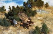 bruno liljefors orn jagande hare Germany oil painting artist